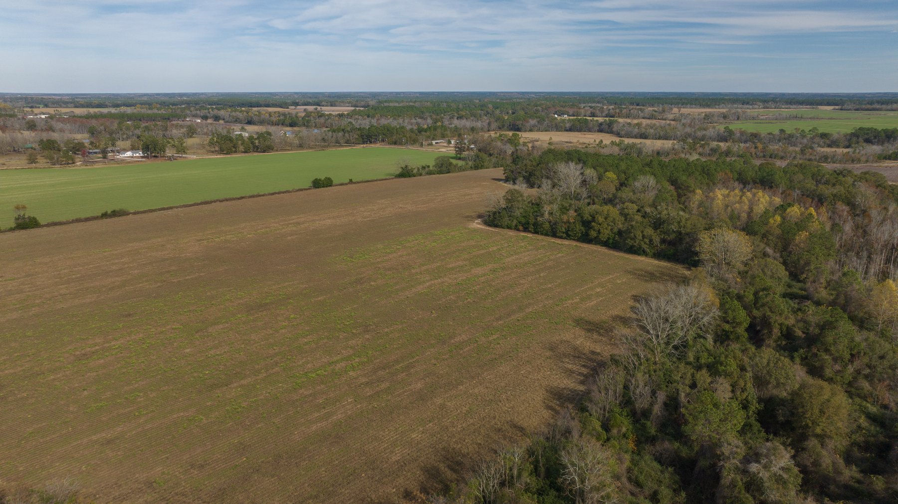 Image for RESERVE MET! 65+/- Acres - Row Crop Farmland Opportunity - Berrien County, Georgia