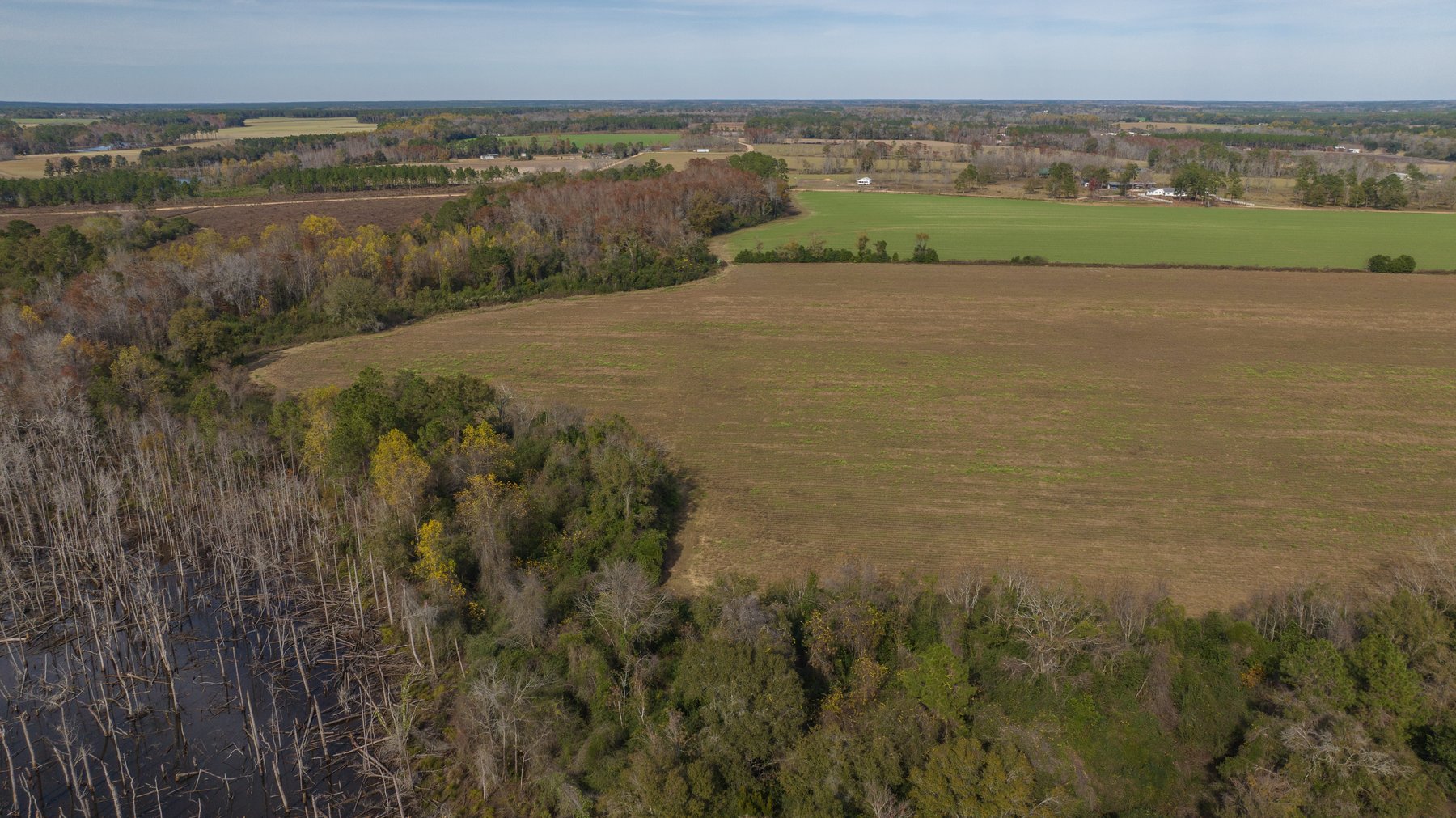 Image for RESERVE MET! 65+/- Acres - Row Crop Farmland Opportunity - Berrien County, Georgia