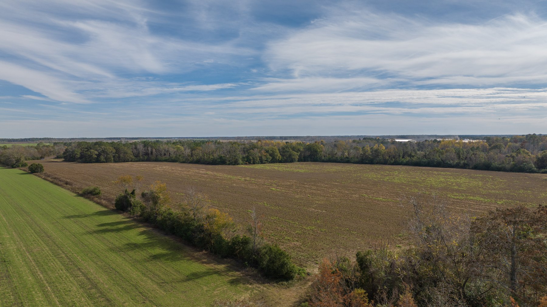 Image for RESERVE MET! 65+/- Acres - Row Crop Farmland Opportunity - Berrien County, Georgia