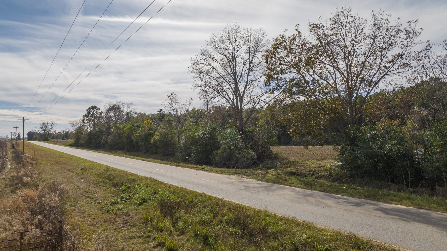 Image for RESERVE MET! 65+/- Acres - Row Crop Farmland Opportunity - Berrien County, Georgia
