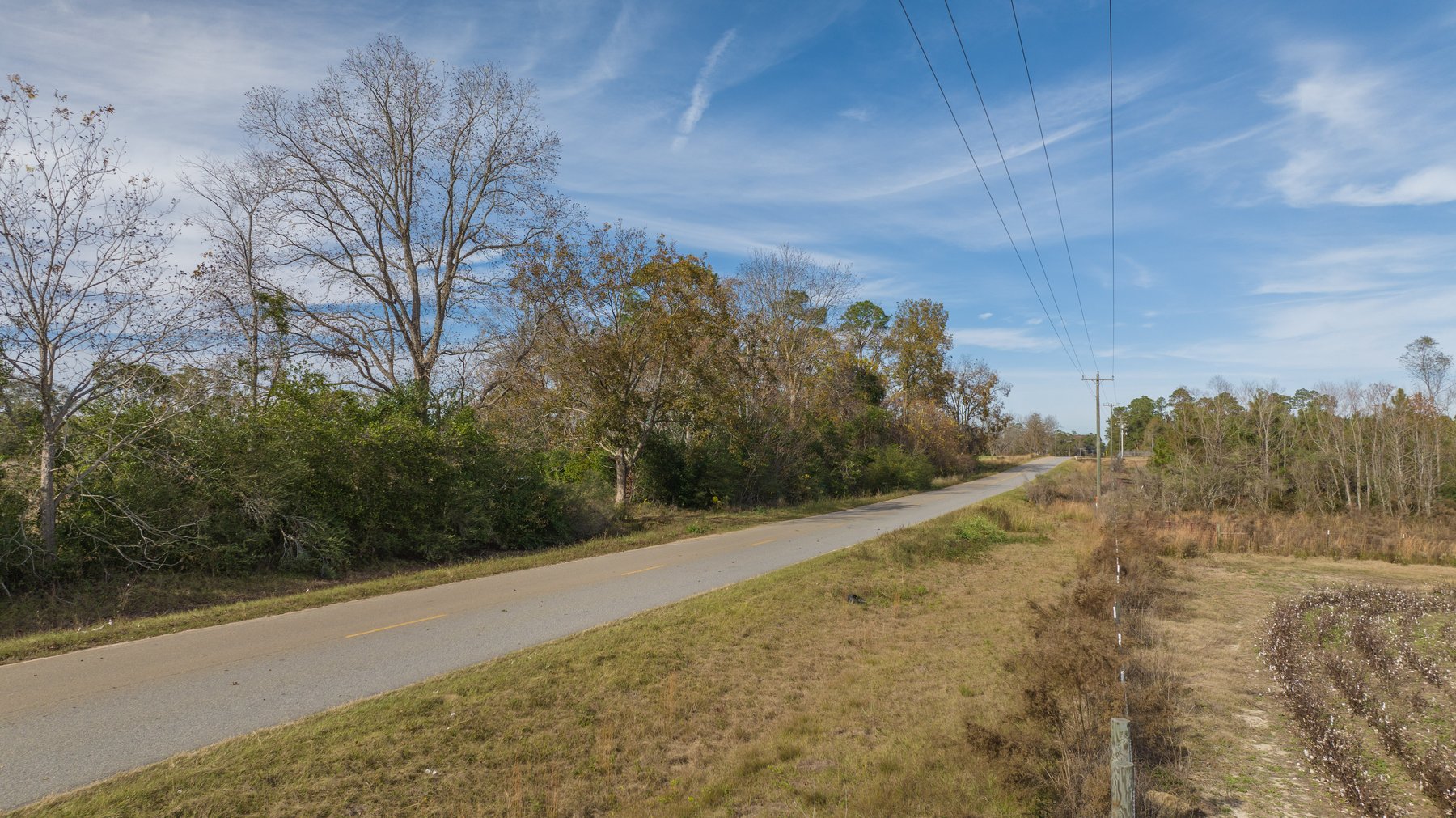 Image for RESERVE MET! 65+/- Acres - Row Crop Farmland Opportunity - Berrien County, Georgia