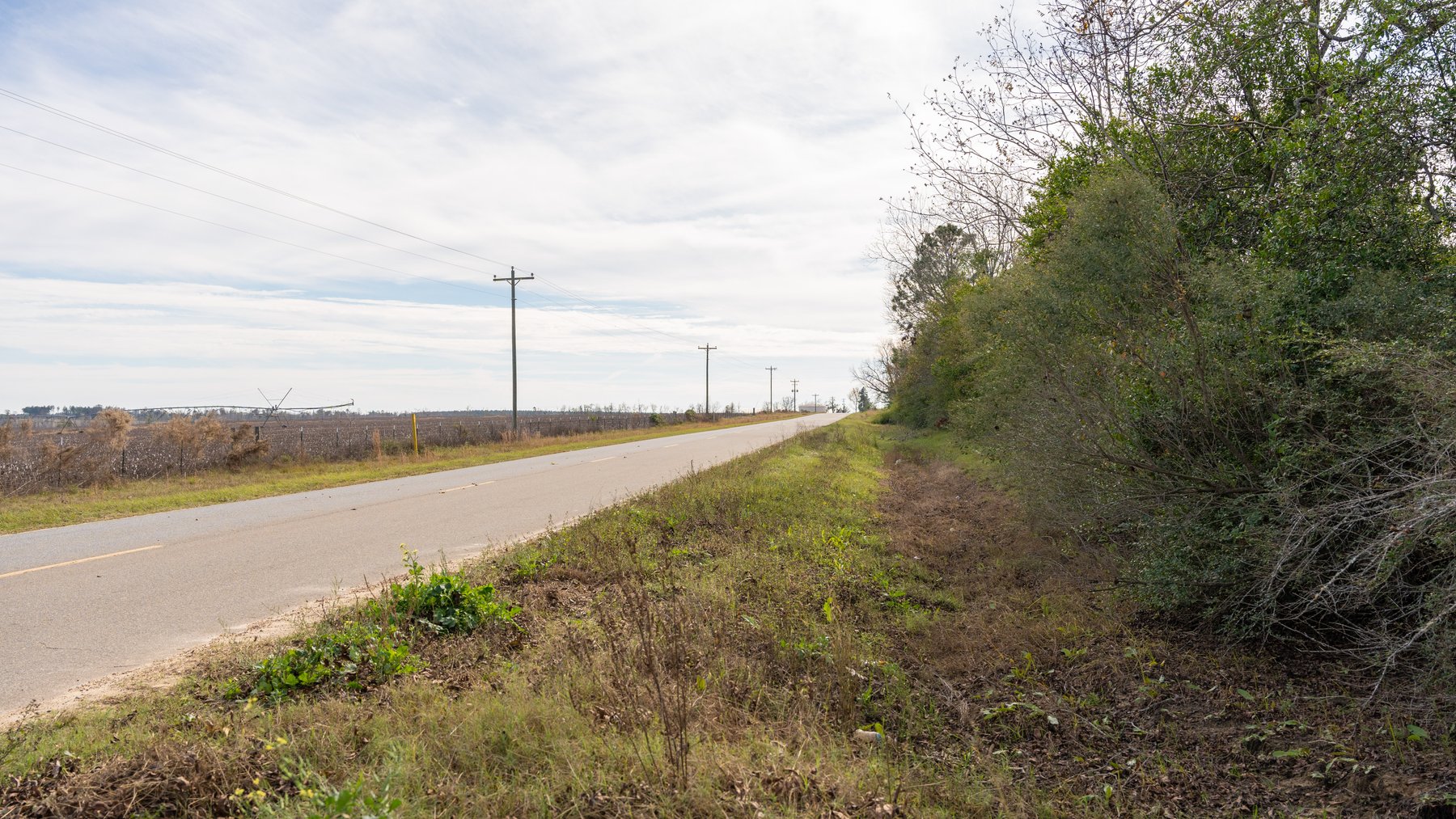 Image for RESERVE MET! 65+/- Acres - Row Crop Farmland Opportunity - Berrien County, Georgia