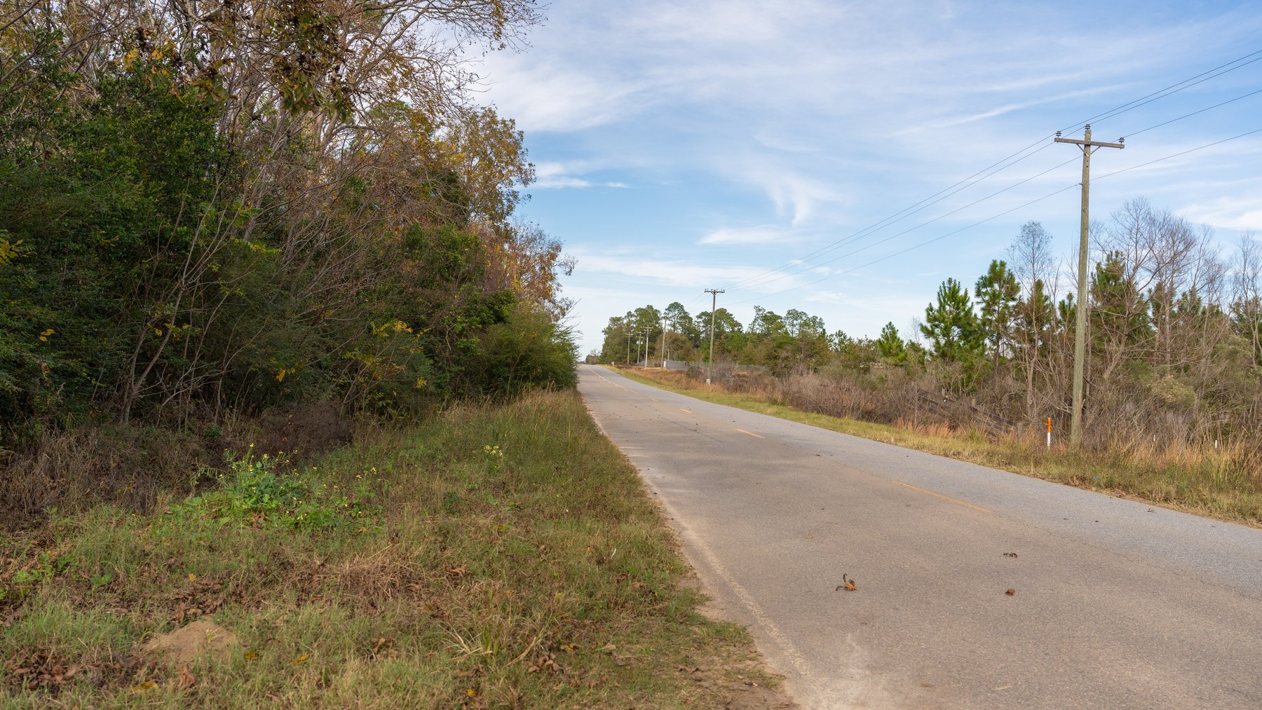 Image for RESERVE MET! 65+/- Acres - Row Crop Farmland Opportunity - Berrien County, Georgia