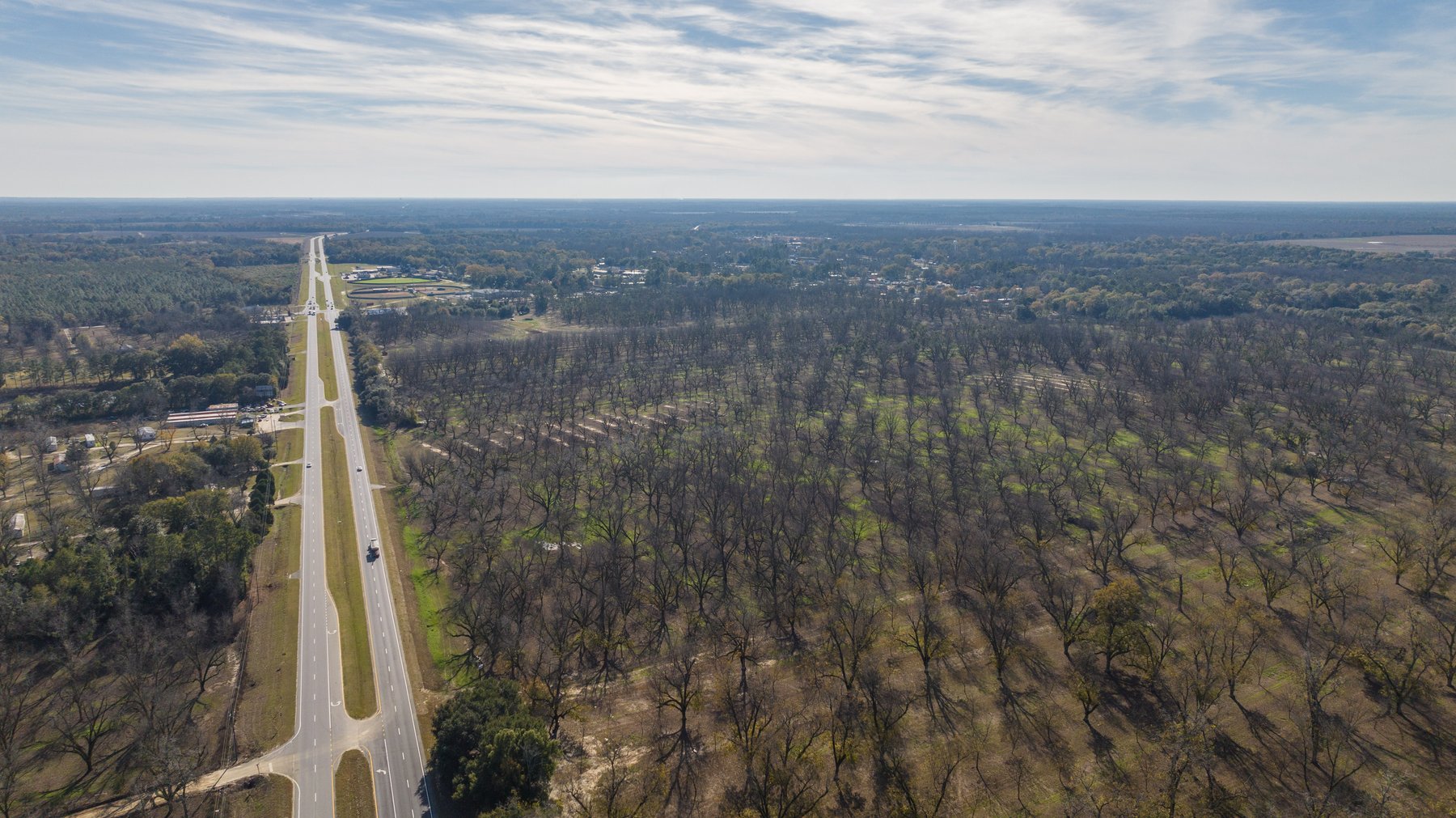 Image for 175+/- Acres - Cecil Tara Grove - Turn-Key Pecan Operation