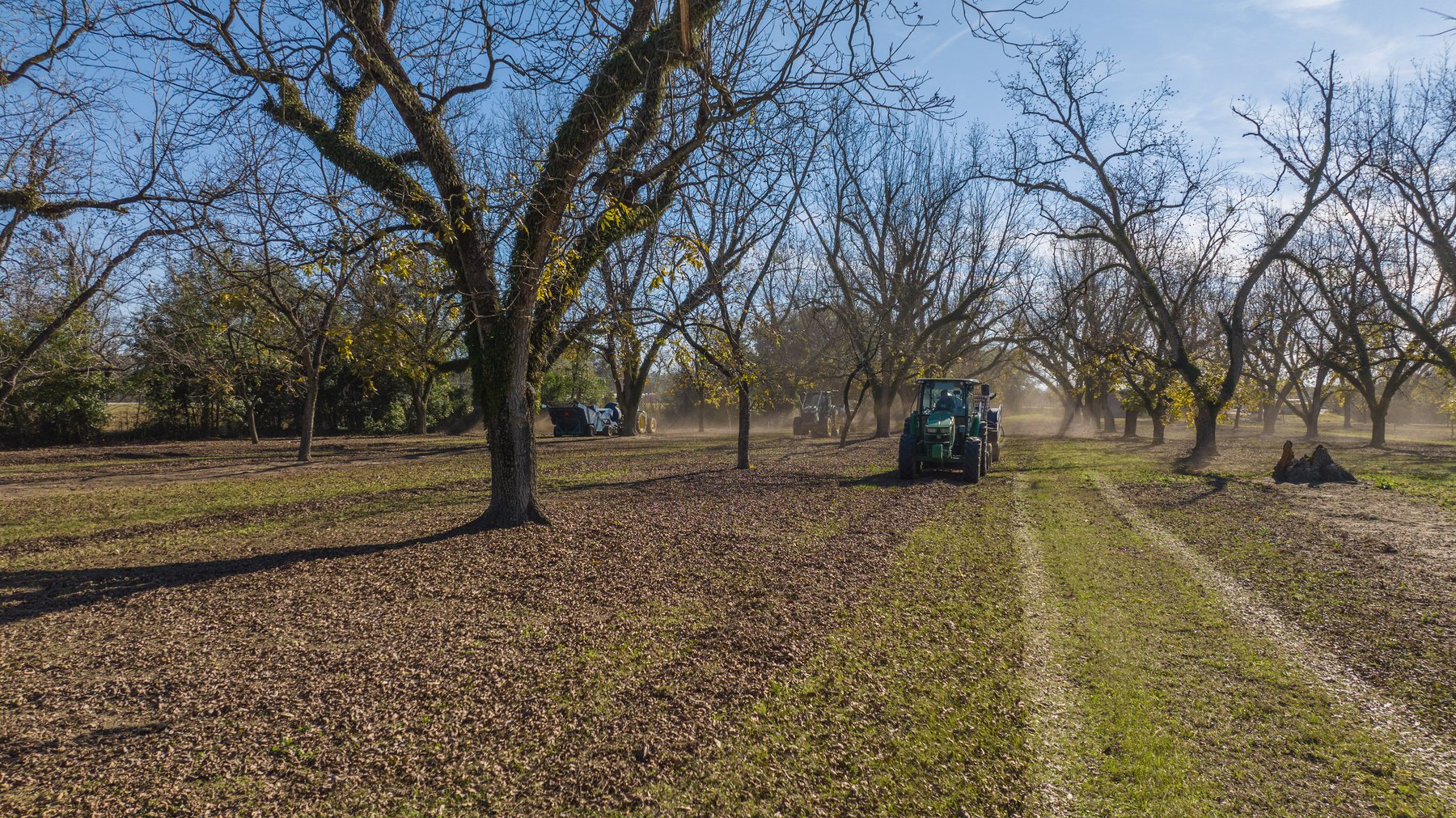 Image for 175+/- Acres - Cecil Tara Grove - Turn-Key Pecan Operation