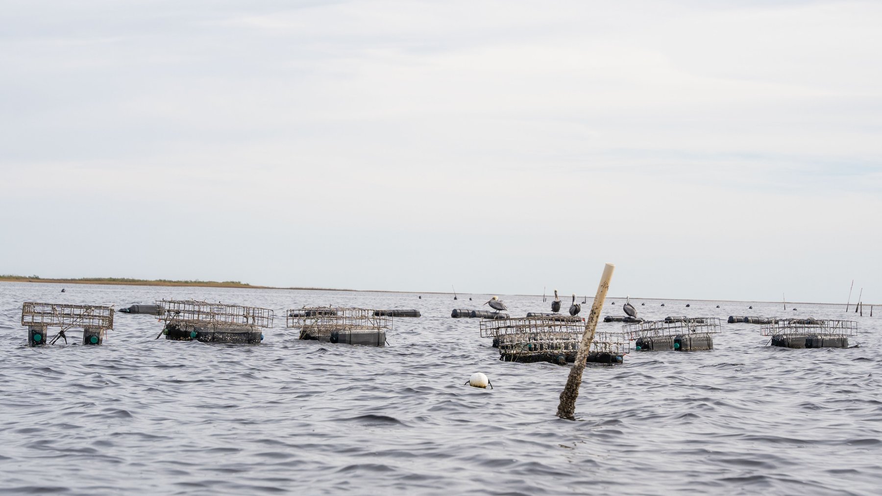 Image for 5 Aquaculture Oyster Leases in Oyster Bay, Florida