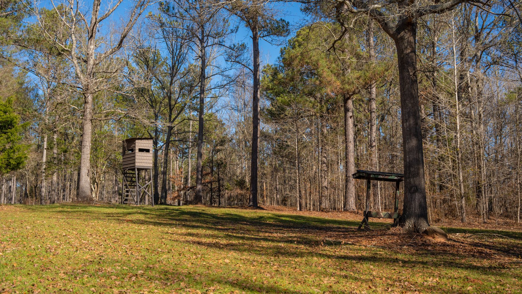 Image for Israel Creek Farms – 136+/- Acres with Custom Built Lodge