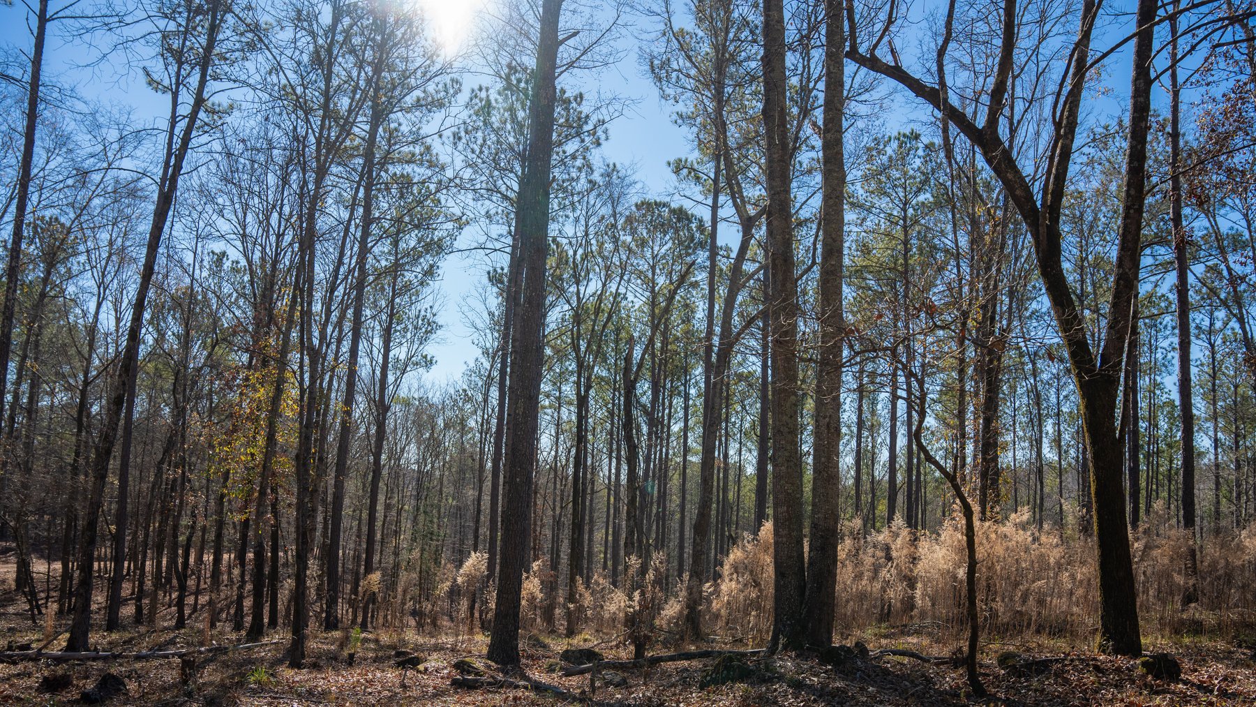 Image for Israel Creek Farms – 136+/- Acres with Custom Built Lodge