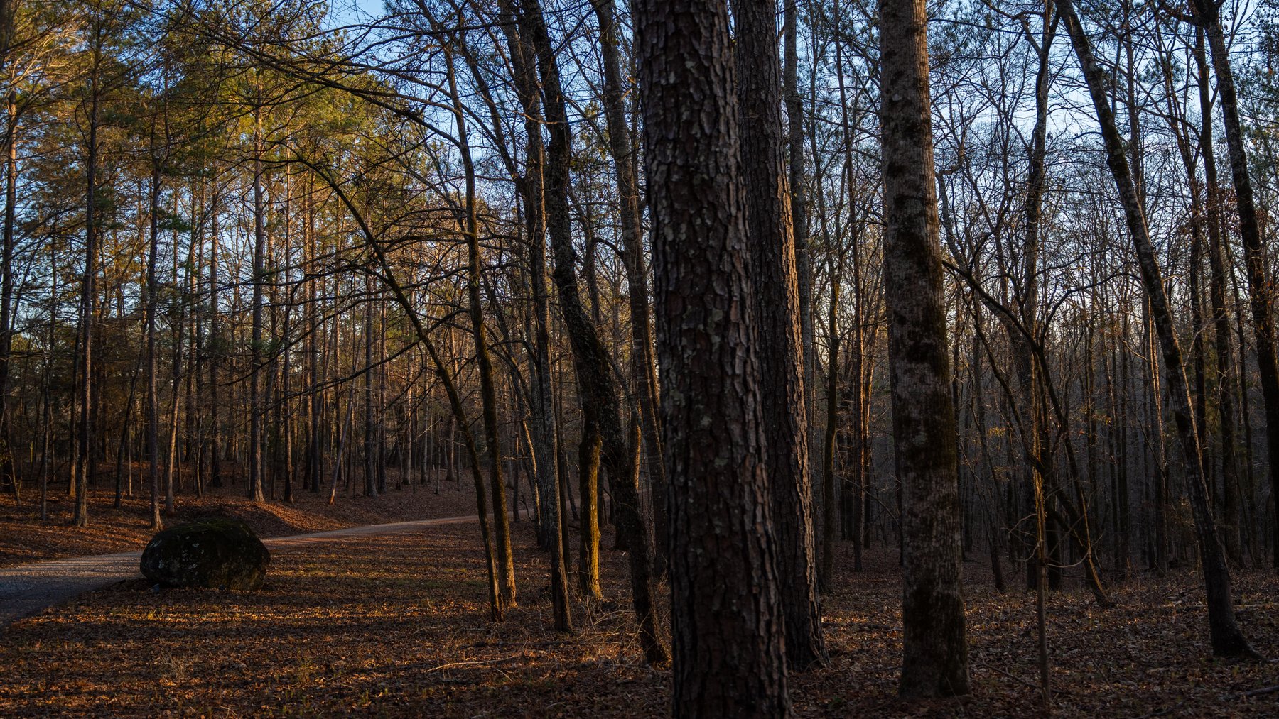 Image for Israel Creek Farms – 136+/- Acres with Custom Built Lodge