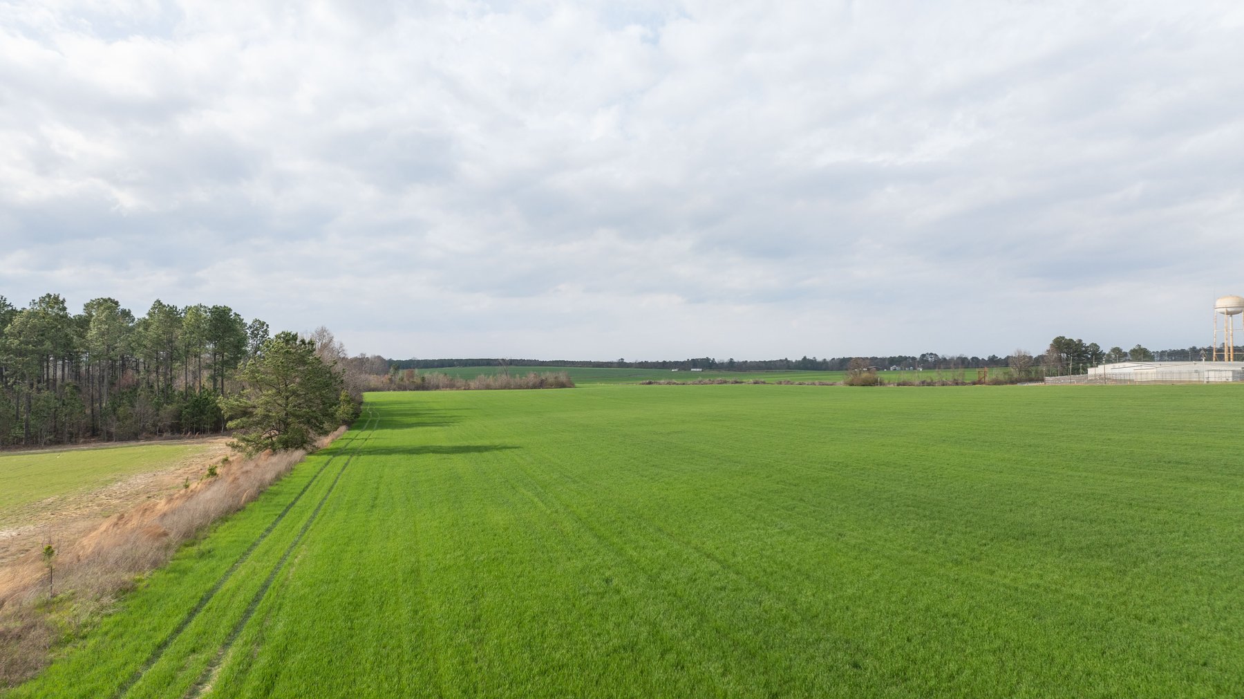 Image for The Graham Farm - 323+/- Acres - Dodge County, Georgia