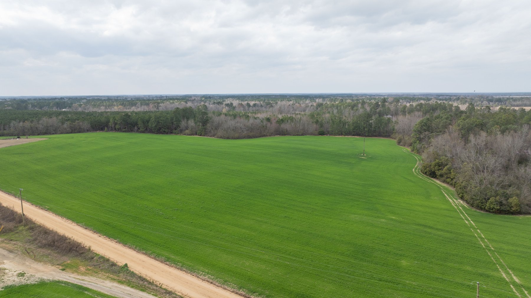 Image for The Graham Farm - 323+/- Acres - Dodge County, Georgia