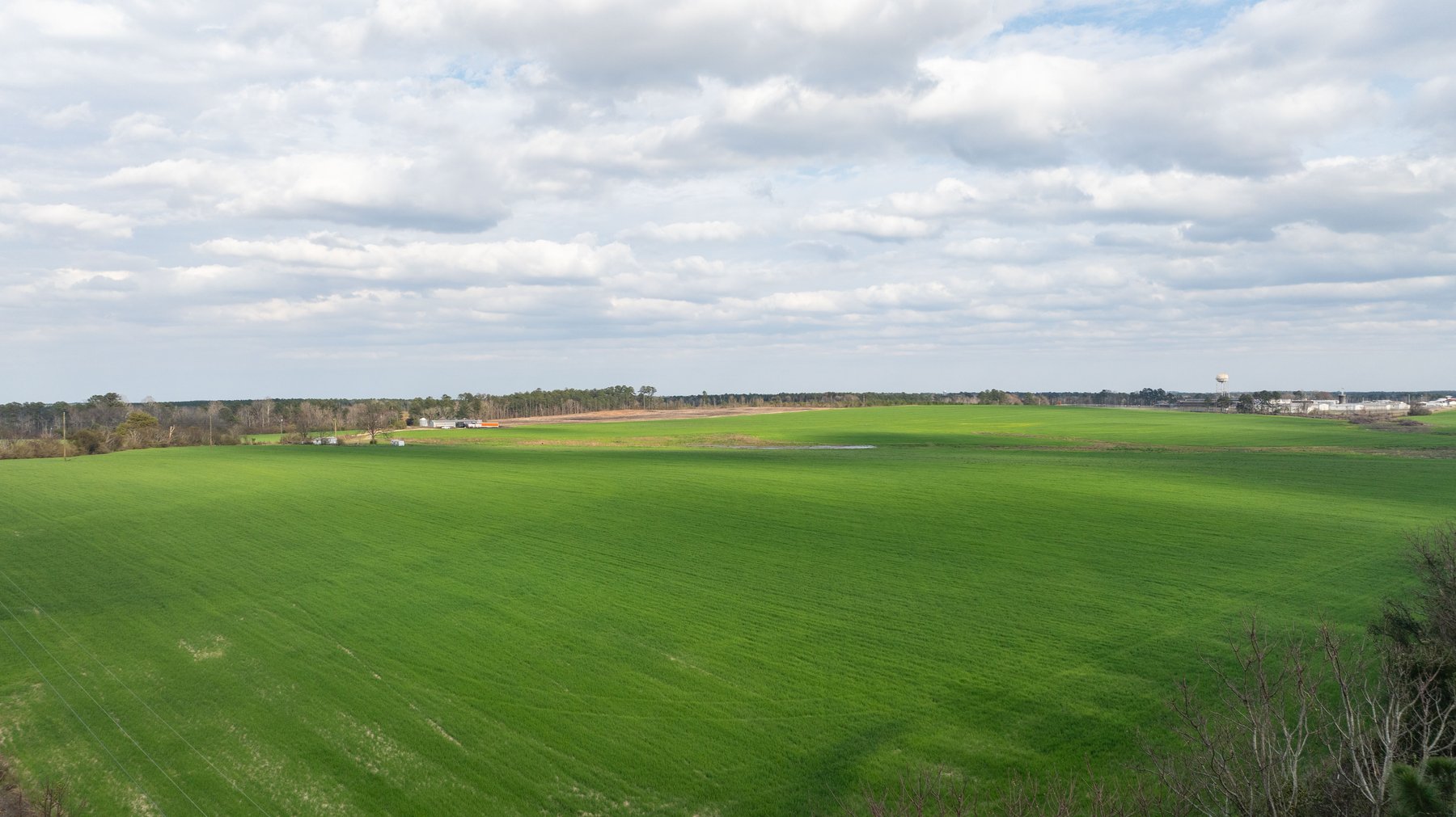 Image for The Graham Farm - 323+/- Acres - Dodge County, Georgia