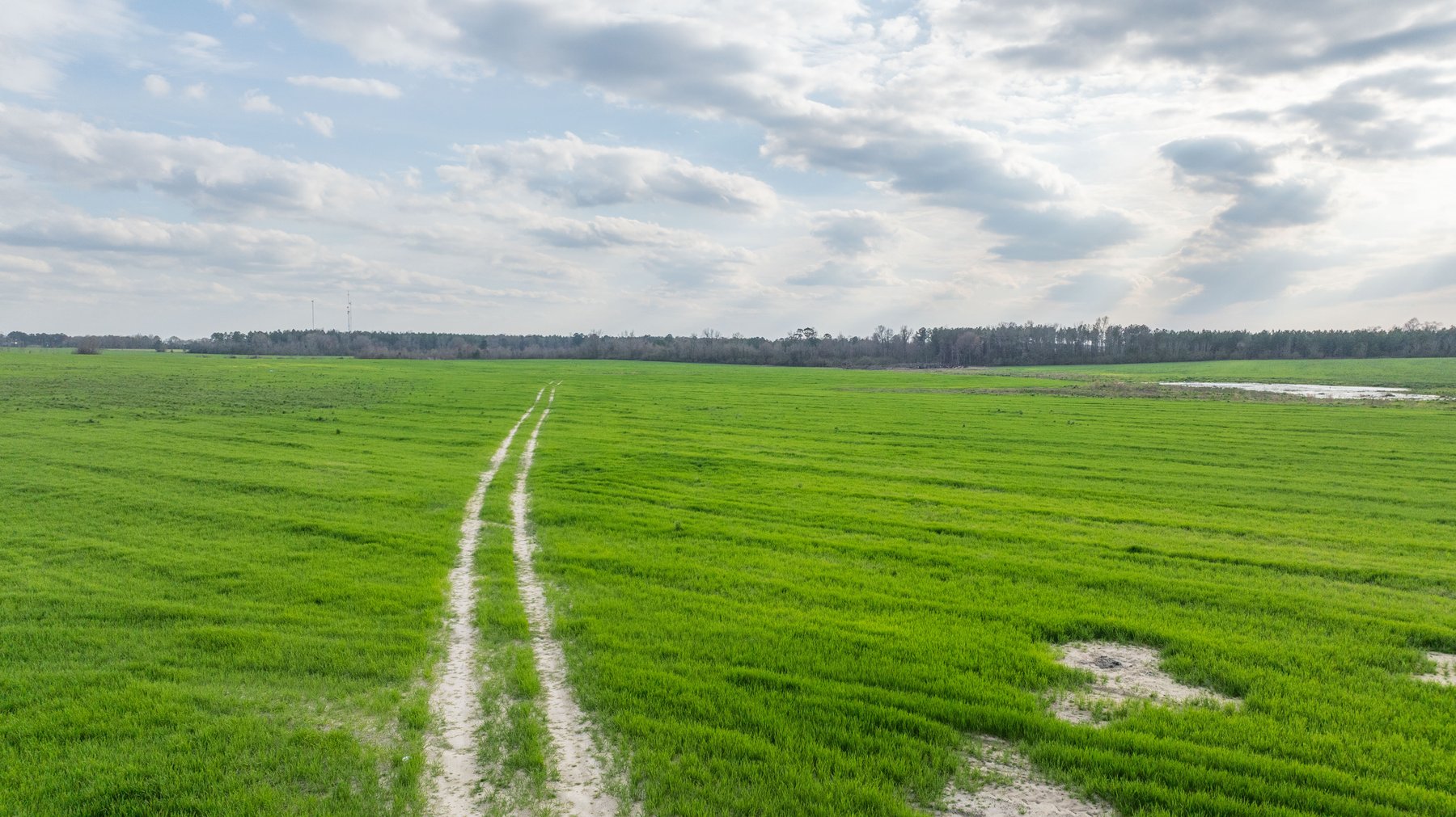 Image for The Graham Farm - 323+/- Acres - Dodge County, Georgia