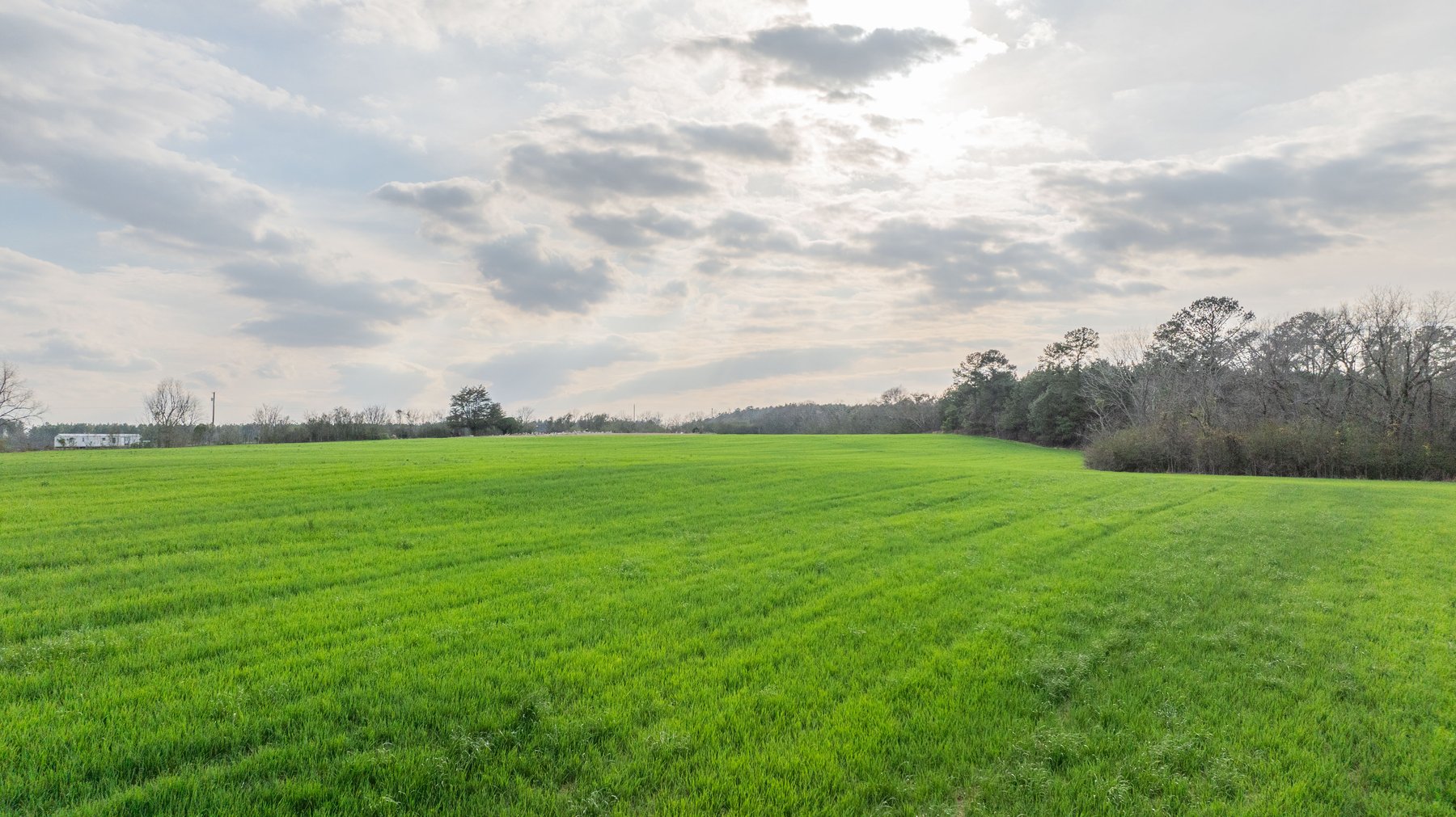 Image for The Graham Farm - 323+/- Acres - Dodge County, Georgia