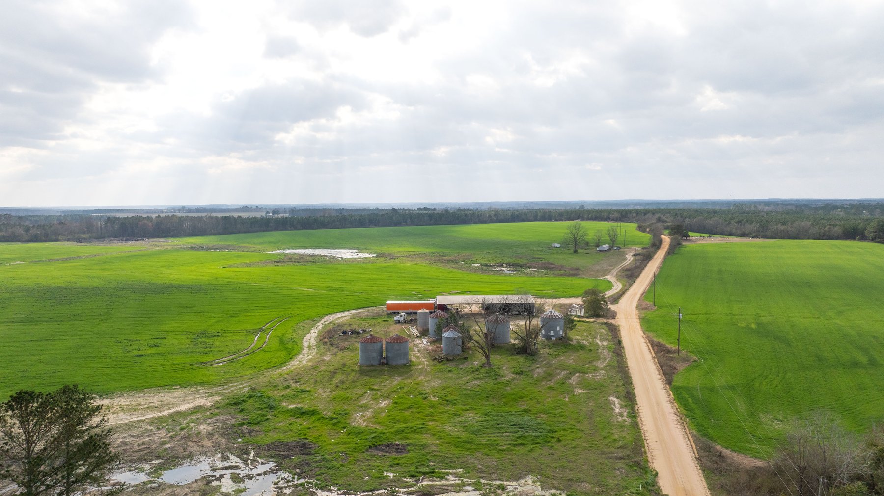 Image for The Graham Farm - 323+/- Acres - Dodge County, Georgia