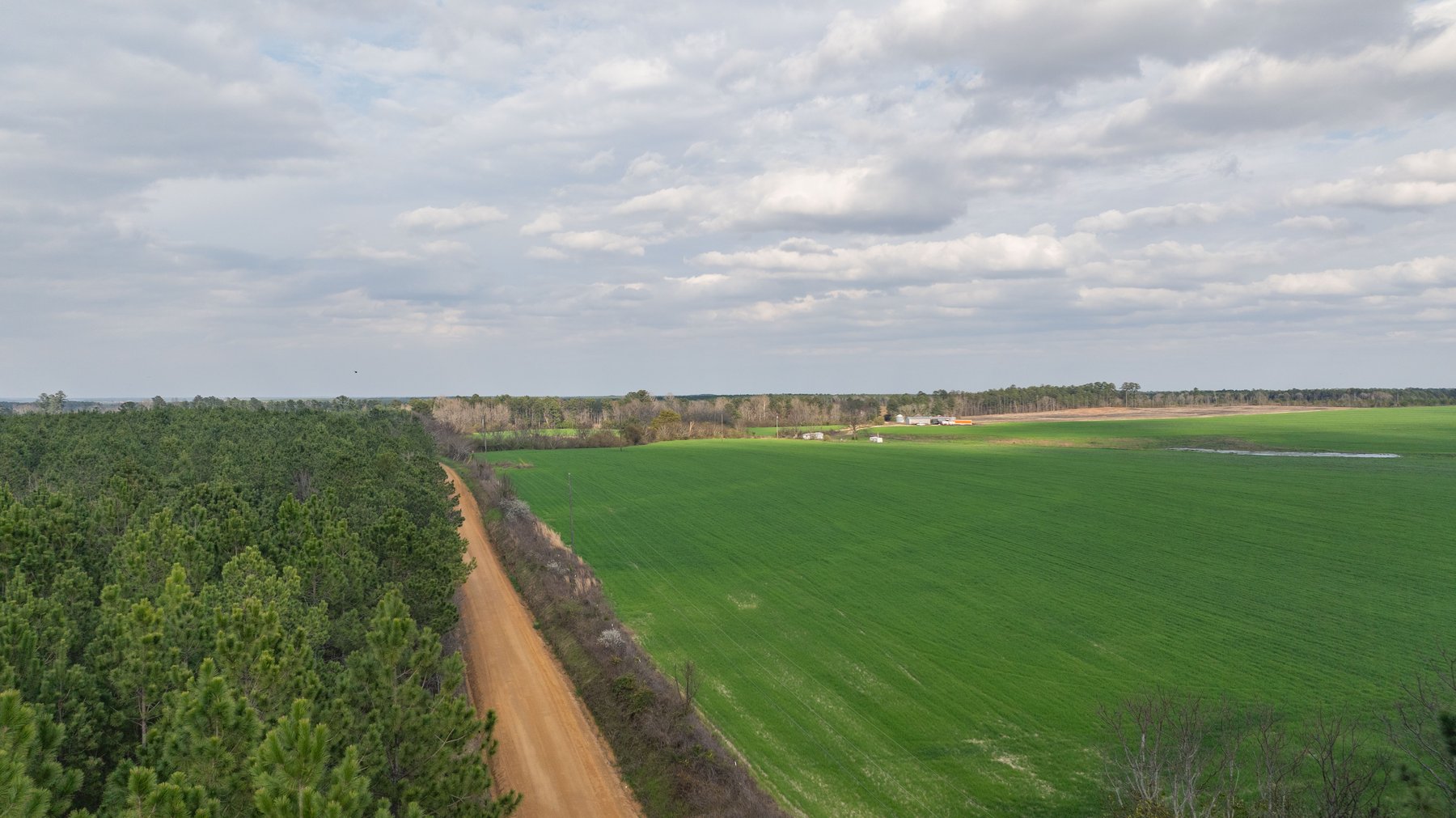 Image for The Graham Farm - 323+/- Acres - Dodge County, Georgia