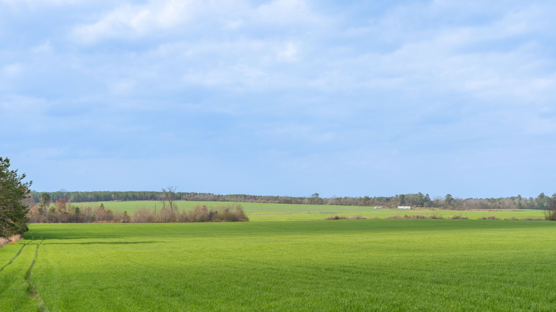 Image for The Graham Farm - 323+/- Acres - Dodge County, Georgia