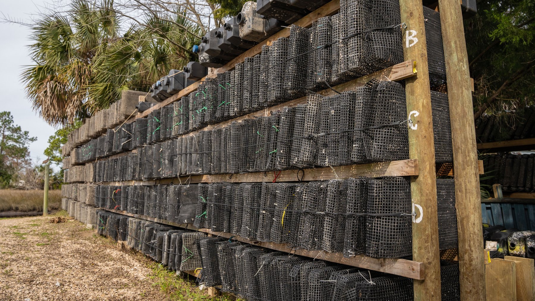 Image for Estuary Oysters - 5 Water Leases, Growing and Processing Equipment, Marina and Cold Storage