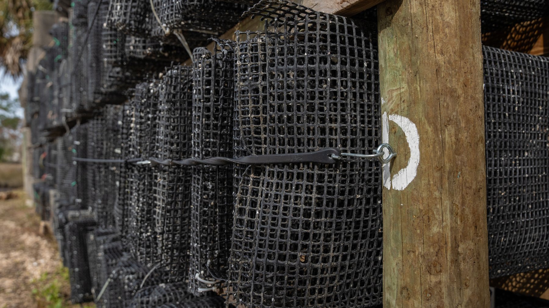 Image for Estuary Oysters - 5 Water Leases, Growing and Processing Equipment, Marina and Cold Storage