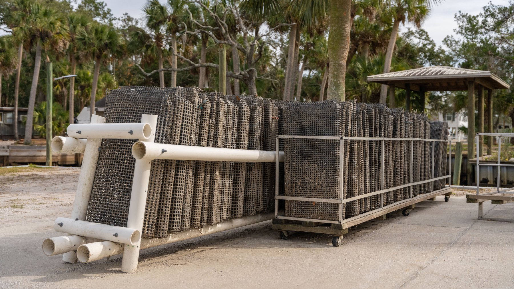 Image for Estuary Oysters - 5 Water Leases, Growing and Processing Equipment, Marina and Cold Storage