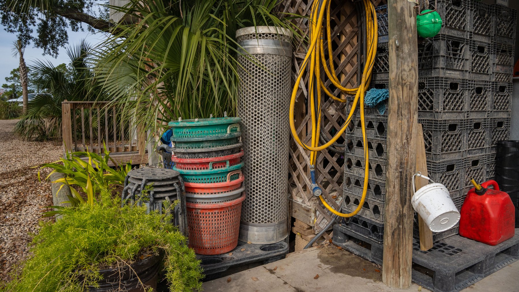 Image for Estuary Oysters - 5 Water Leases, Growing and Processing Equipment, Marina and Cold Storage