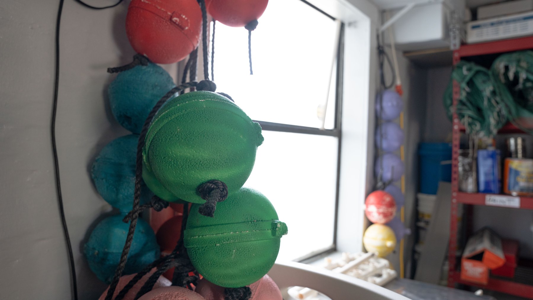 Image for Estuary Oysters - 5 Water Leases, Growing and Processing Equipment, Marina and Cold Storage