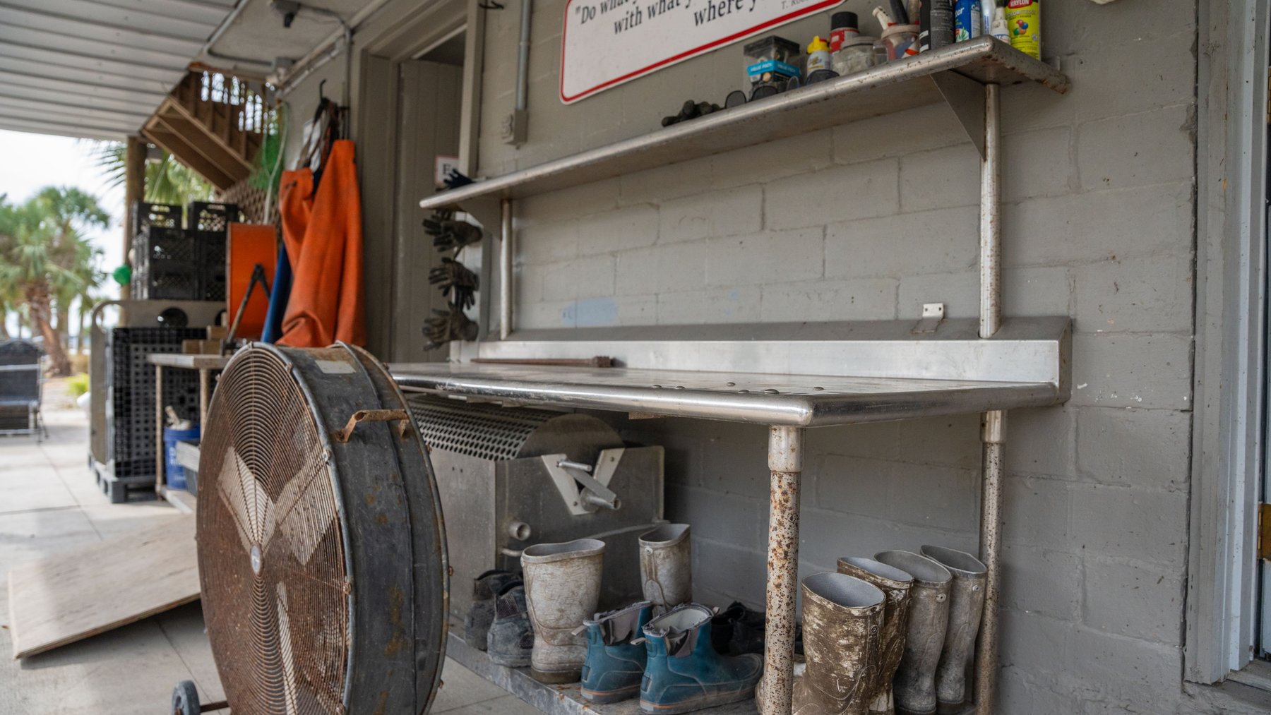 Image for Estuary Oysters - 5 Water Leases, Growing and Processing Equipment, Marina and Cold Storage