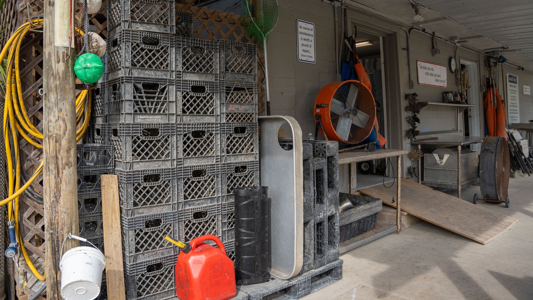 Image for Estuary Oysters - 5 Water Leases, Growing and Processing Equipment, Marina and Cold Storage