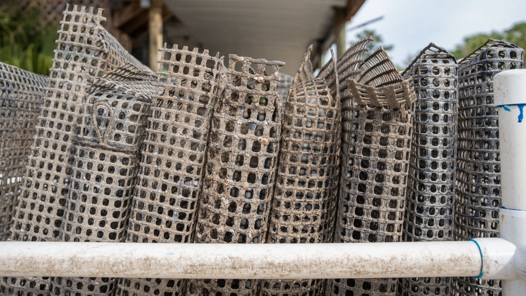 Image for Estuary Oysters - 5 Water Leases, Growing and Processing Equipment, Marina and Cold Storage