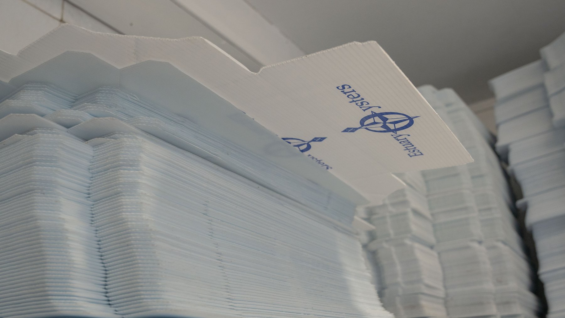 Image for Estuary Oysters - 5 Water Leases, Growing and Processing Equipment, Marina and Cold Storage