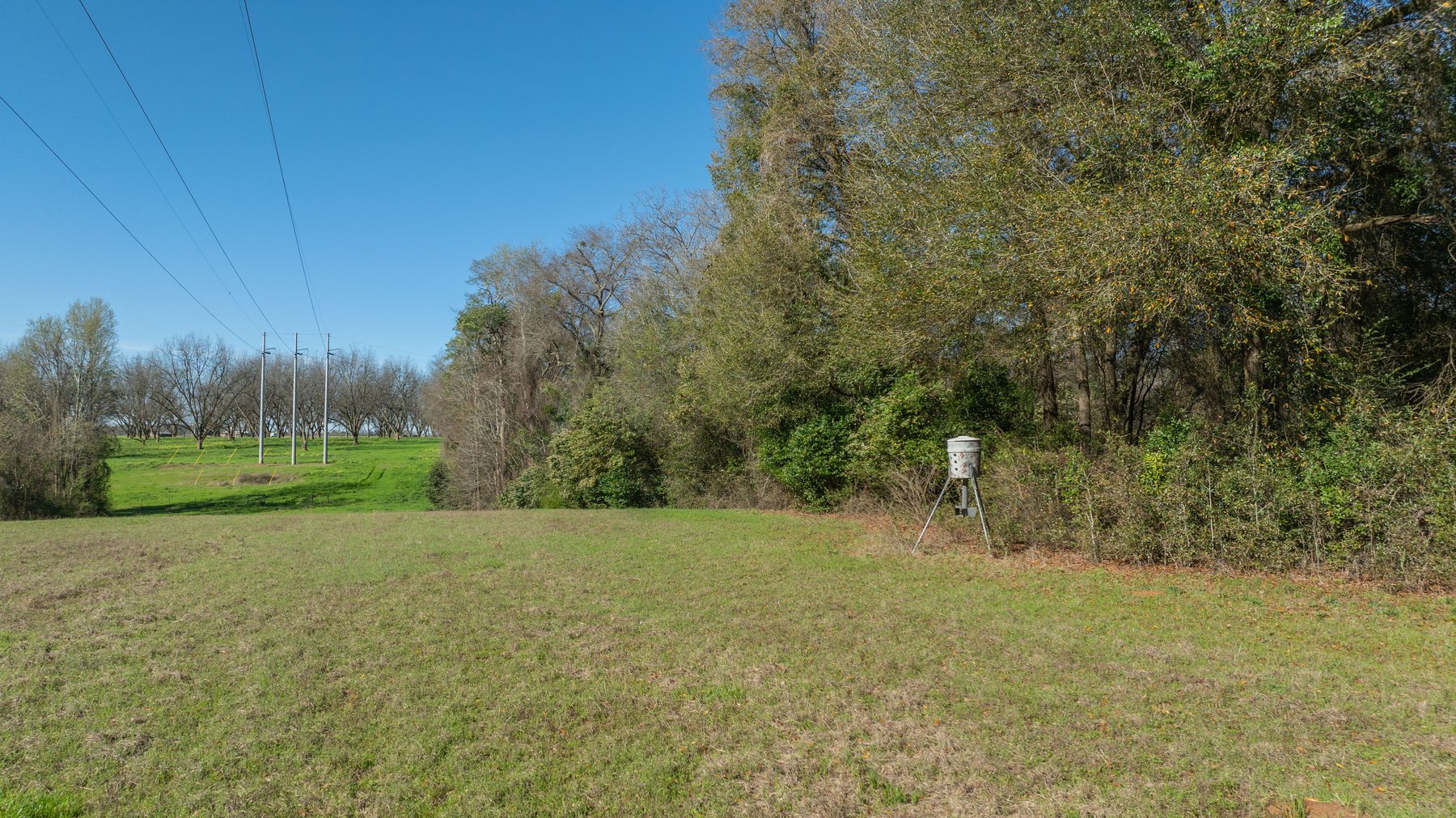 Image for Sidney Lanier Farms - 85+/- Acres - Croxton Road Orchard