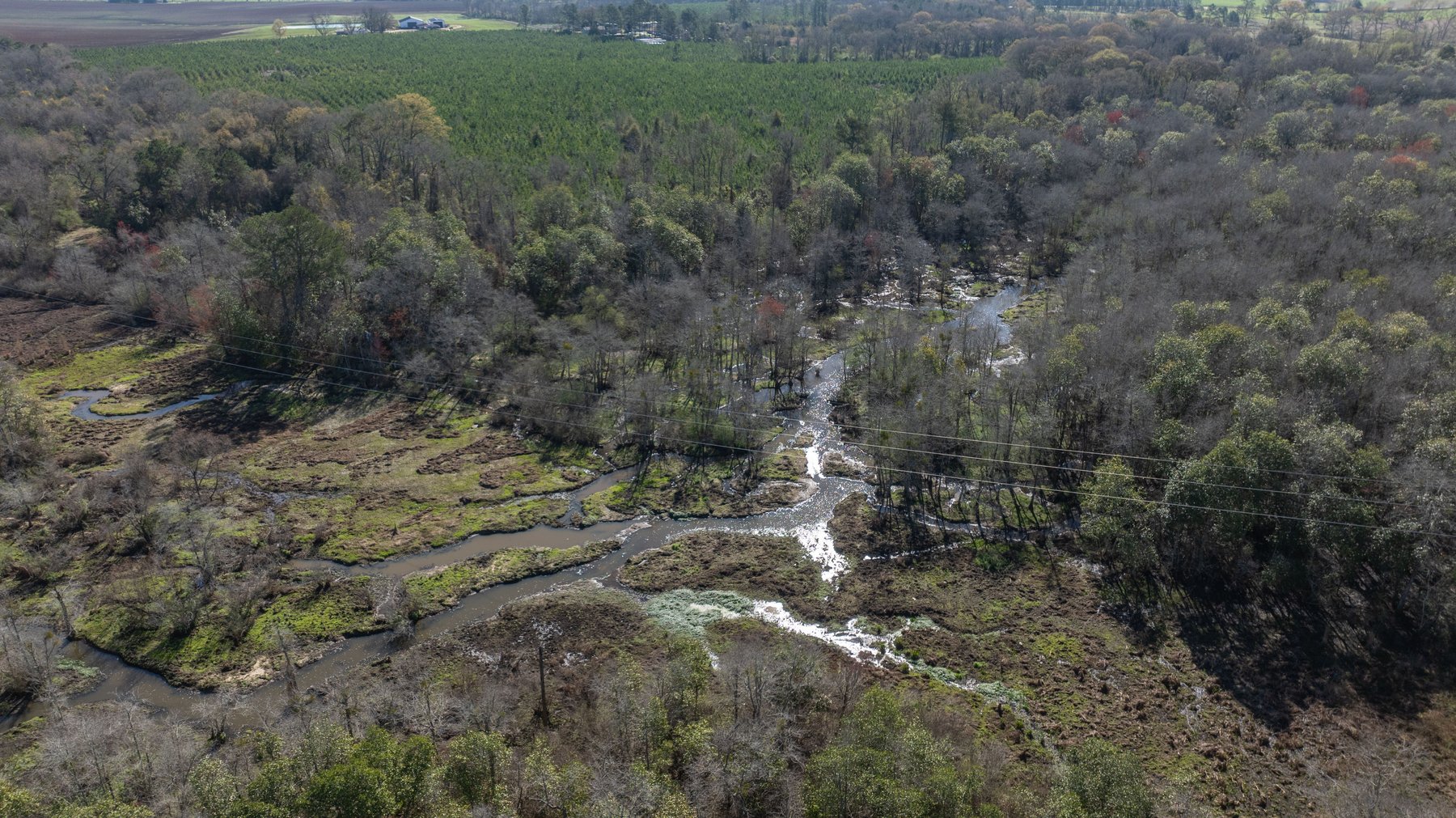 Image for Sidney Lanier Farms - 85+/- Acres - Croxton Road Orchard