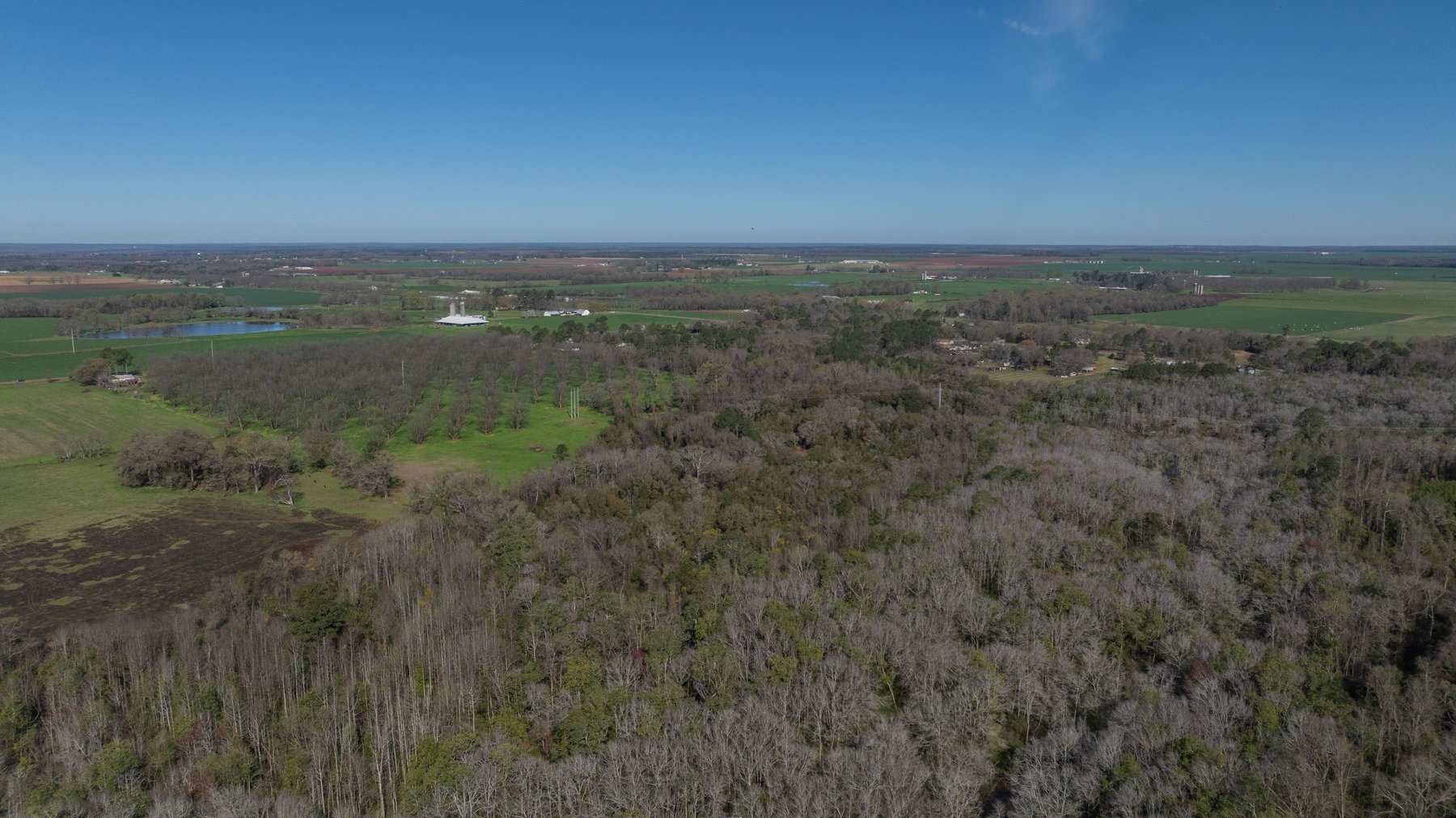 Image for Sidney Lanier Farms - 85+/- Acres - Croxton Road Orchard