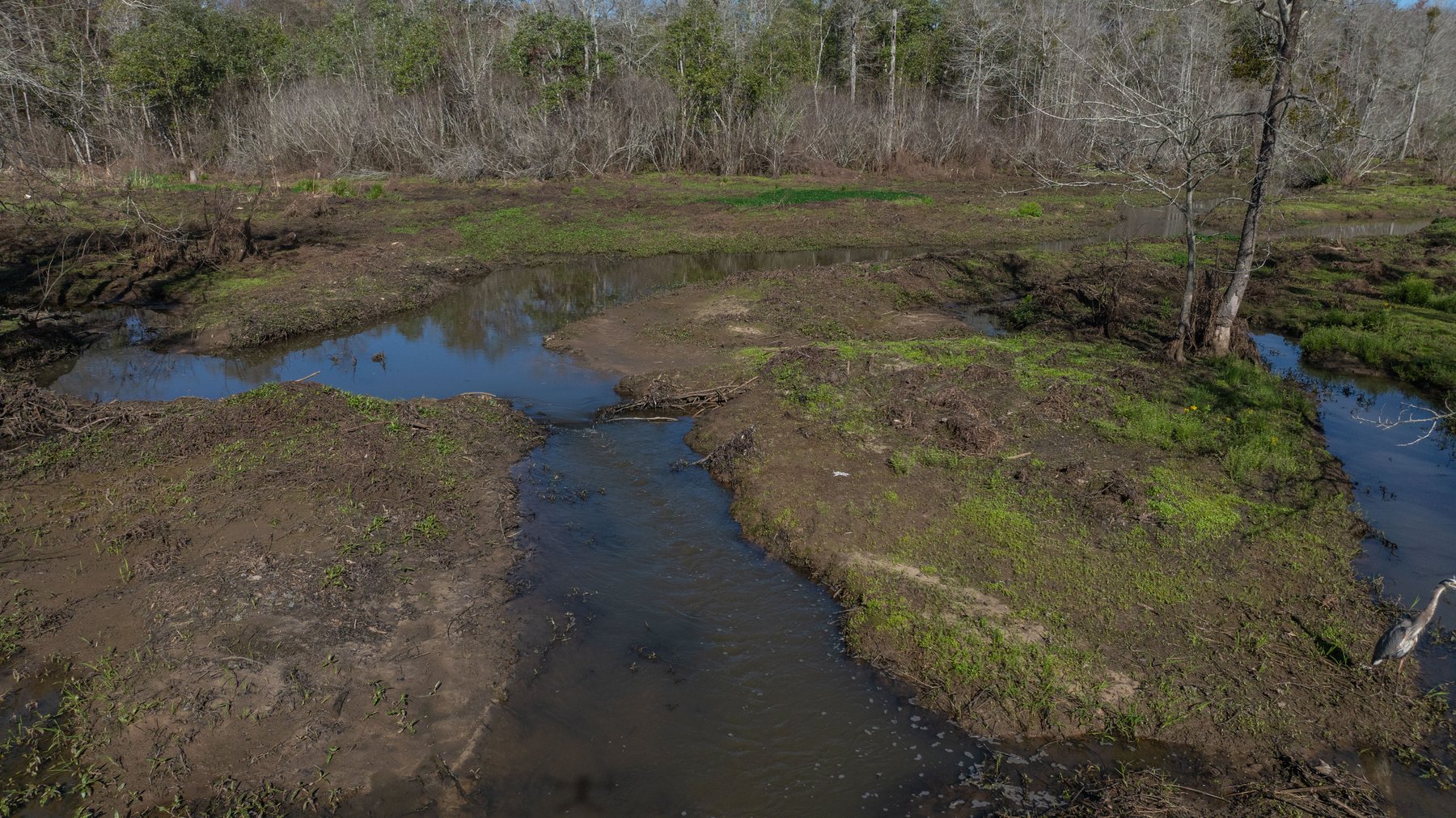 Image for Sidney Lanier Farms - 85+/- Acres - Croxton Road Orchard