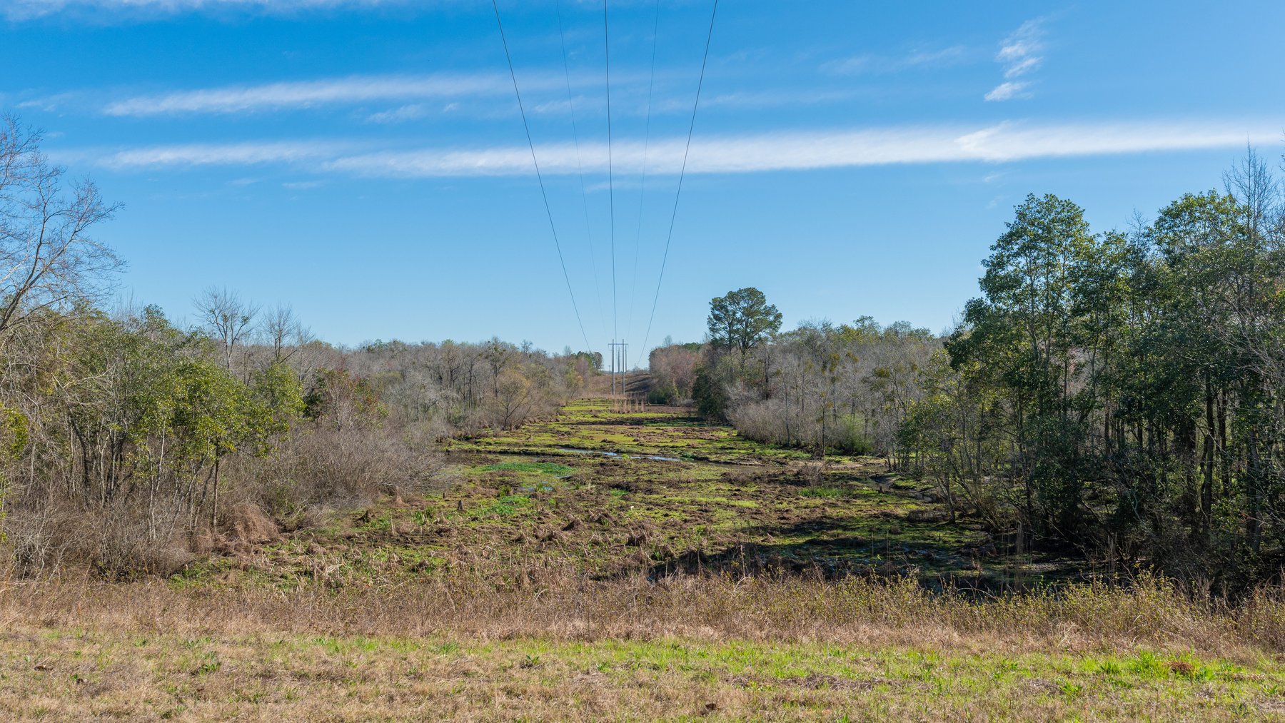 Image for Sidney Lanier Farms - 85+/- Acres - Croxton Road Orchard