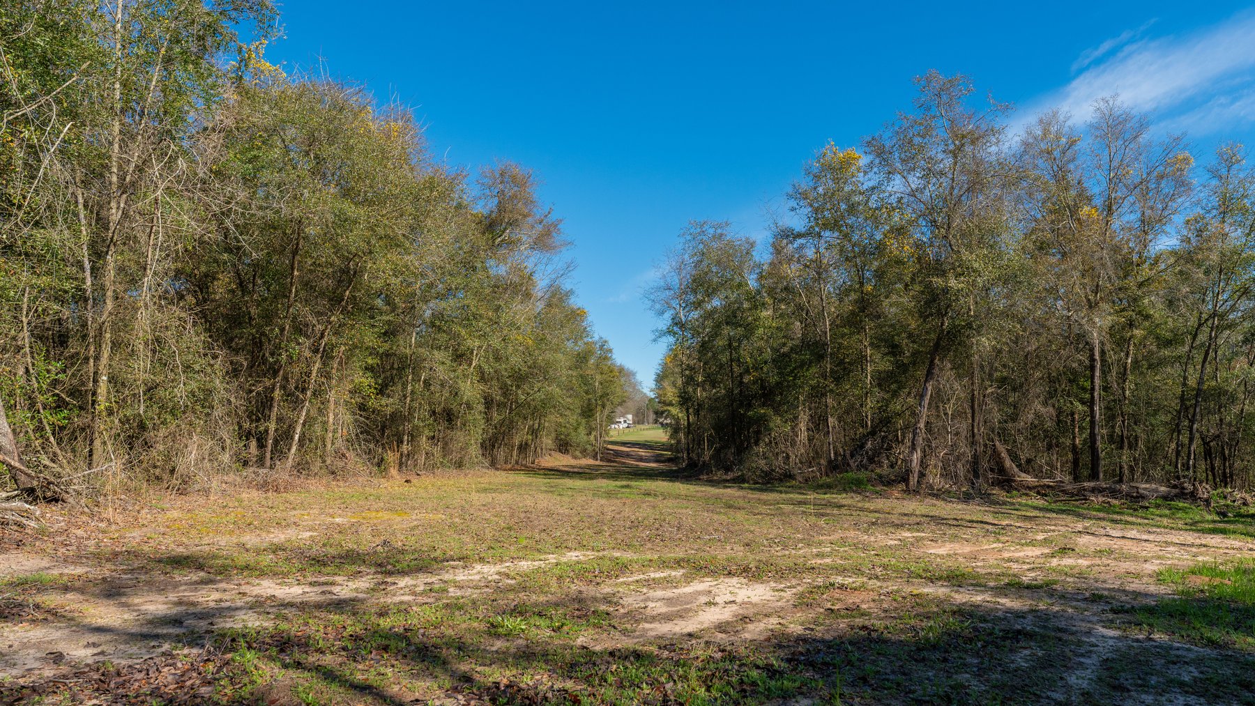 Image for Sidney Lanier Farms - 85+/- Acres - Croxton Road Orchard