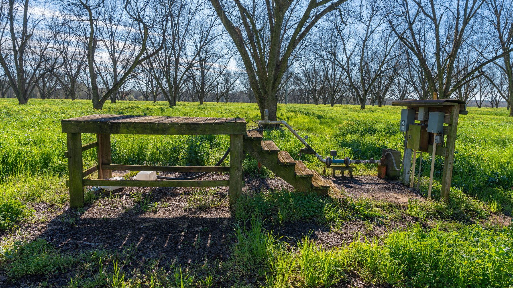 Image for Sidney Lanier Farms - 85+/- Acres - Croxton Road Orchard
