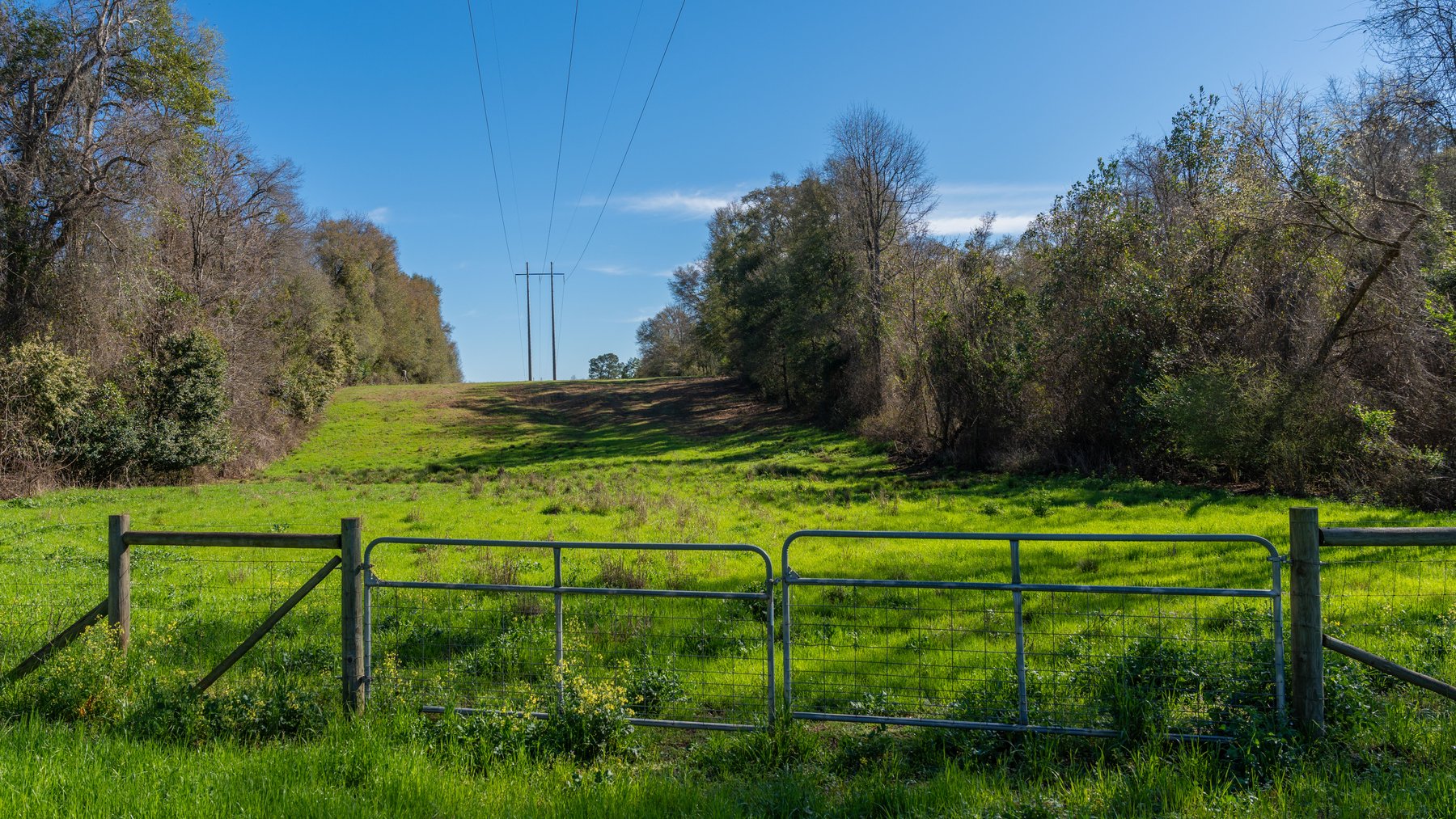 Image for Sidney Lanier Farms - 85+/- Acres - Croxton Road Orchard