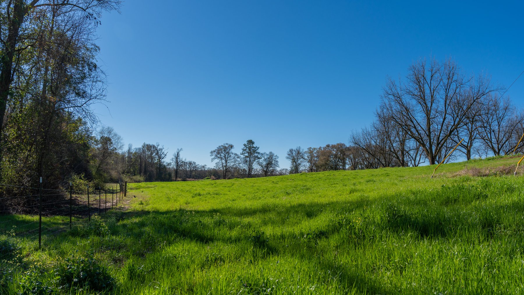 Image for Sidney Lanier Farms - 85+/- Acres - Croxton Road Orchard