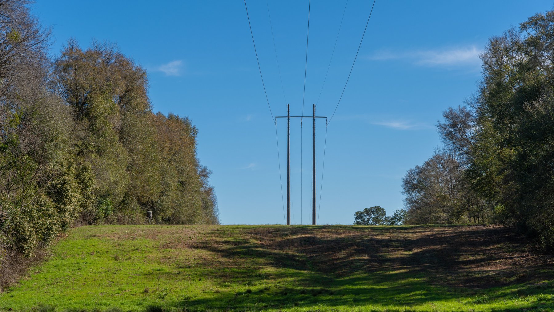 Image for Sidney Lanier Farms - 85+/- Acres - Croxton Road Orchard