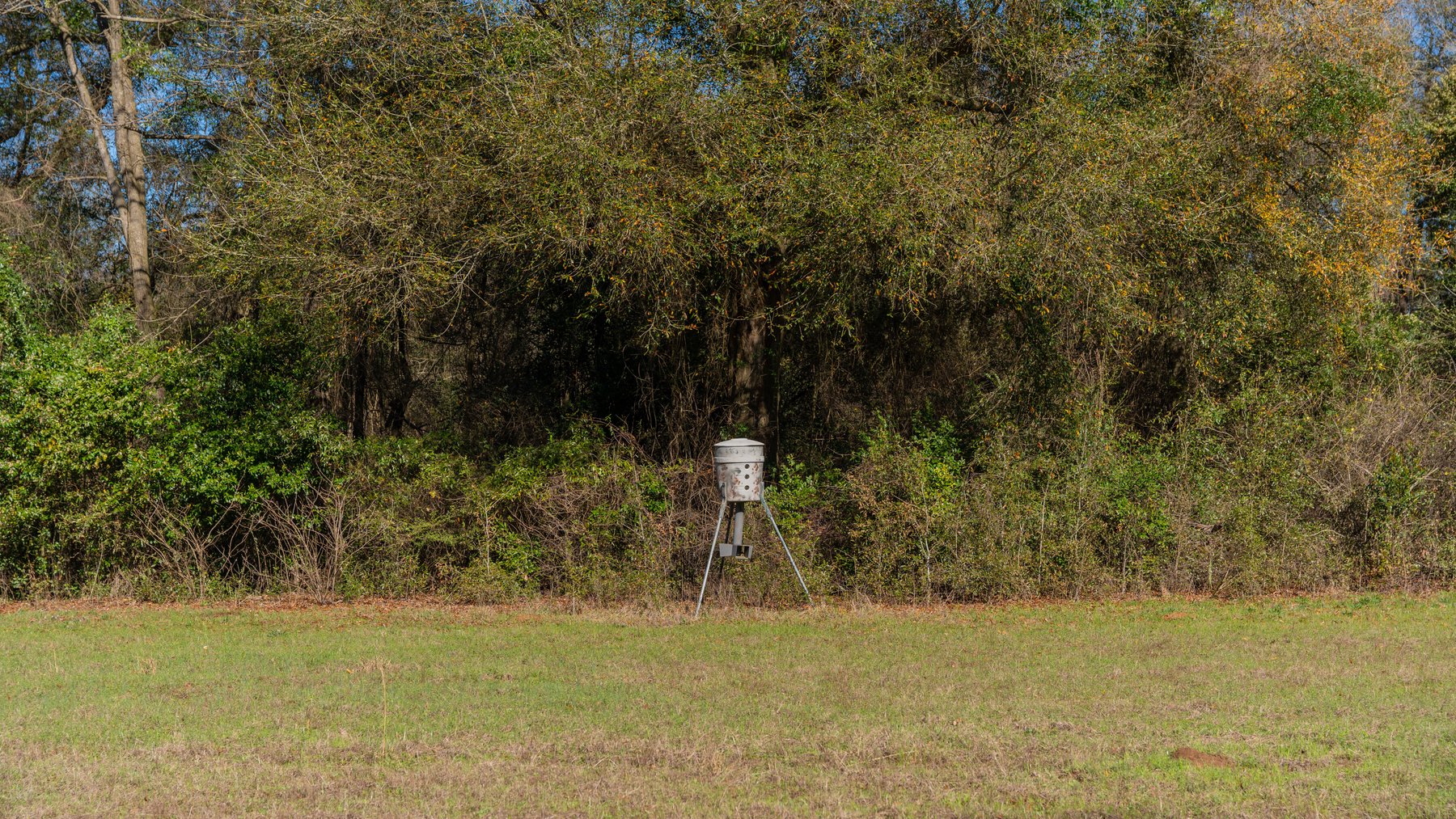 Image for Sidney Lanier Farms - 85+/- Acres - Croxton Road Orchard