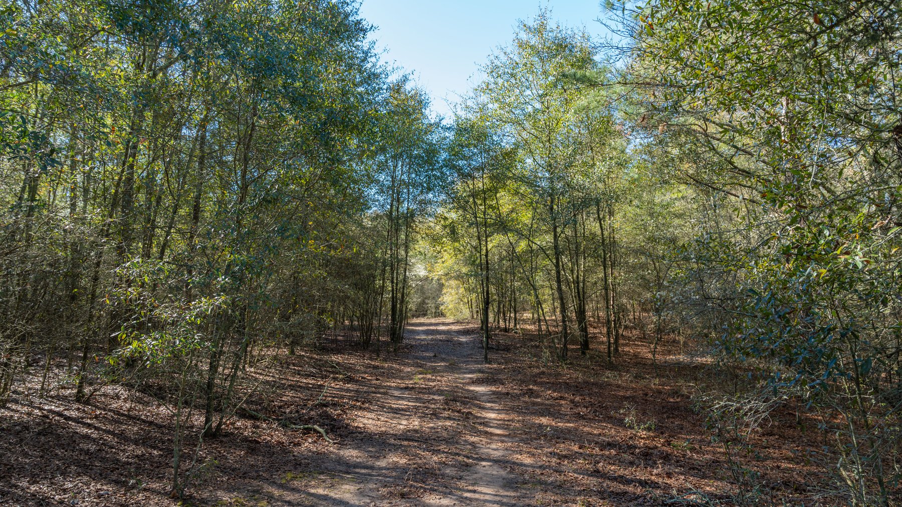 Image for Sidney Lanier Farms - 85+/- Acres - Croxton Road Orchard