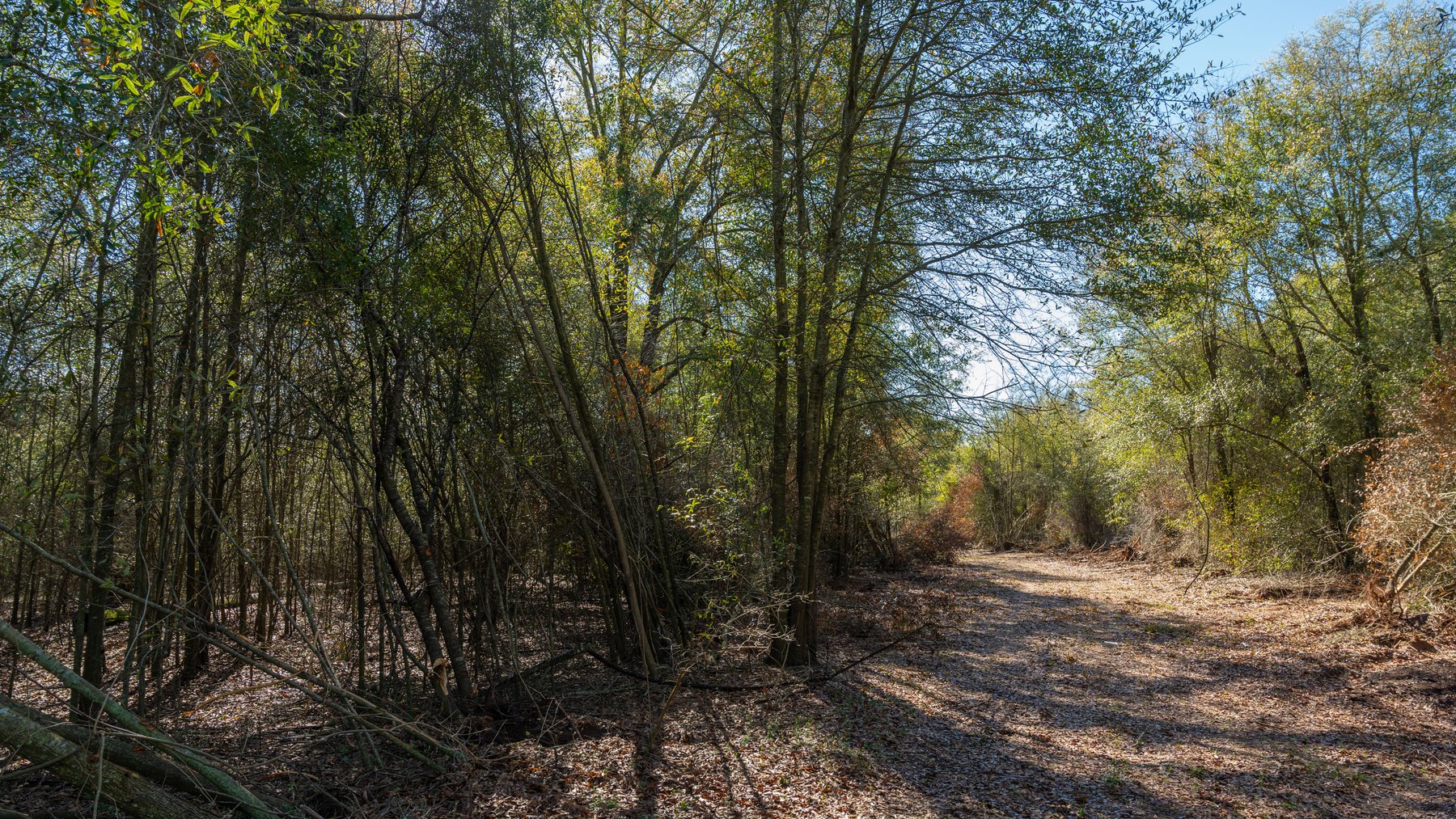 Image for Sidney Lanier Farms - 85+/- Acres - Croxton Road Orchard