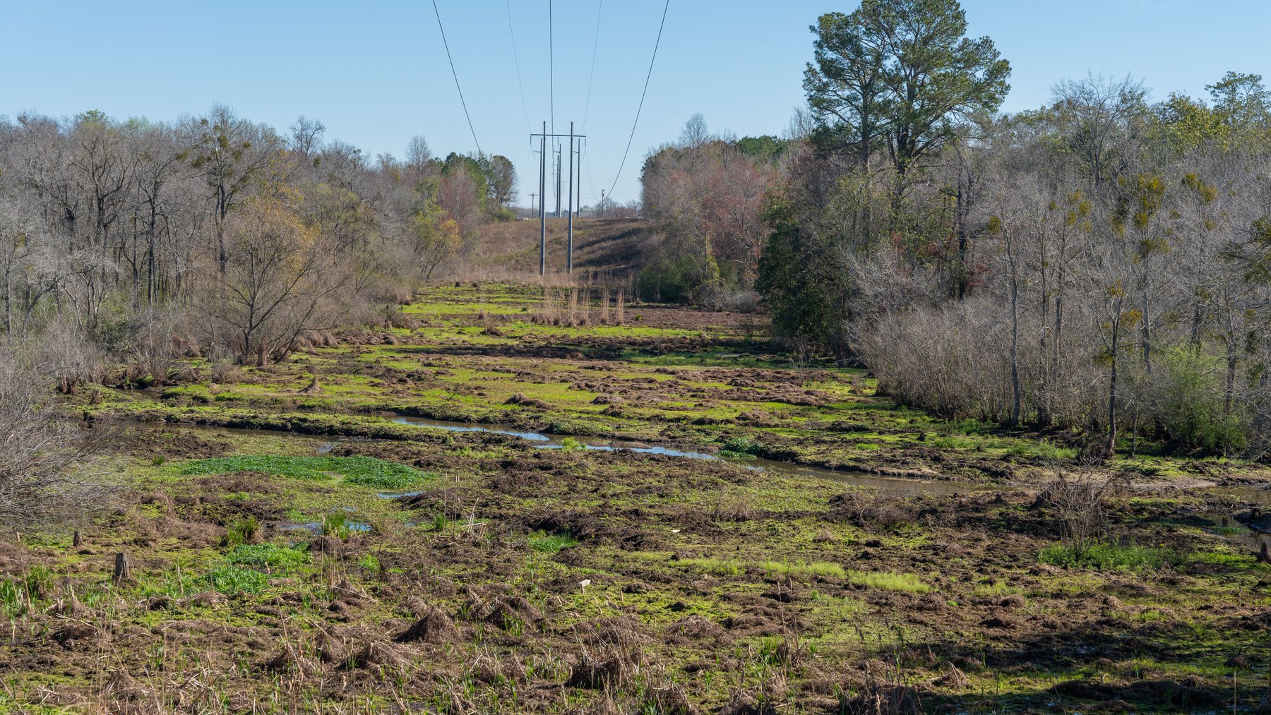 Image for Sidney Lanier Farms - 85+/- Acres - Croxton Road Orchard