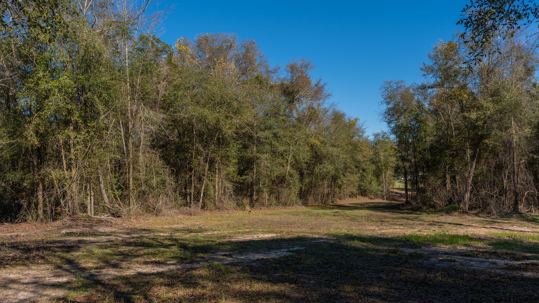 Image for Sidney Lanier Farms - 85+/- Acres - Croxton Road Orchard