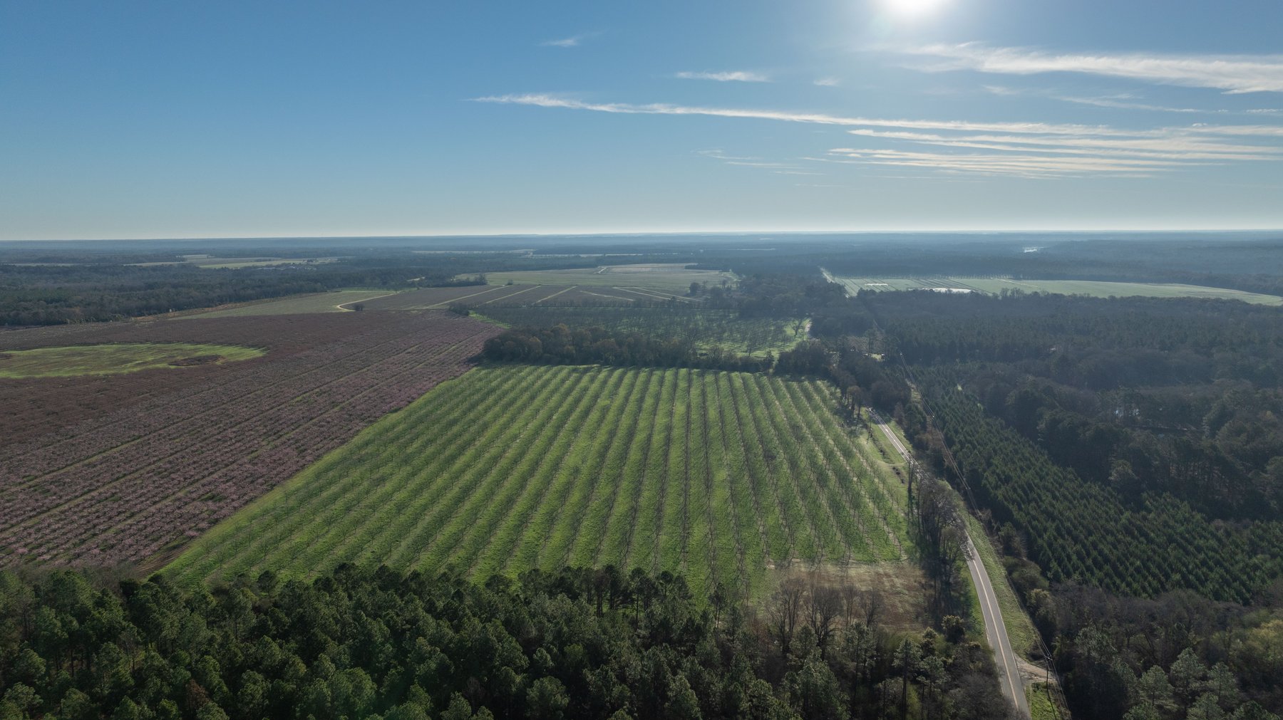 Image for Sidney Lanier Farms - 271+/- Acres - Whitewater Road Orchards