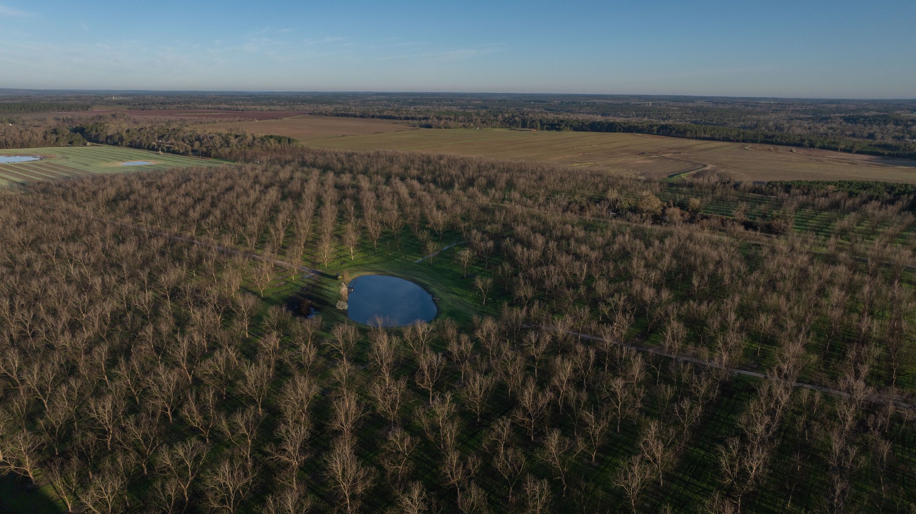 Image for Sidney Lanier Farms - 271+/- Acres - Whitewater Road Orchards