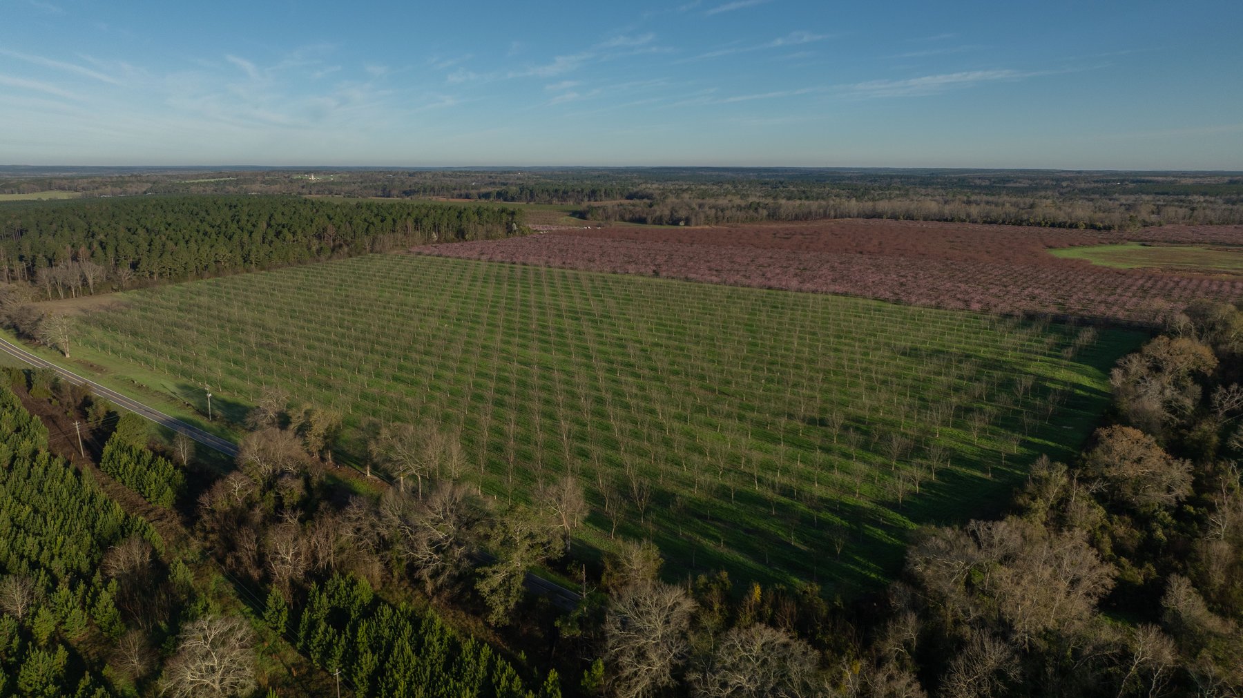 Image for Sidney Lanier Farms - 271+/- Acres - Whitewater Road Orchards