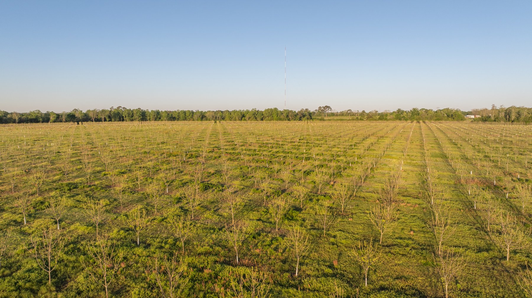 Image for 715+/- Acres - The Home Tract - Weybrenee Farms