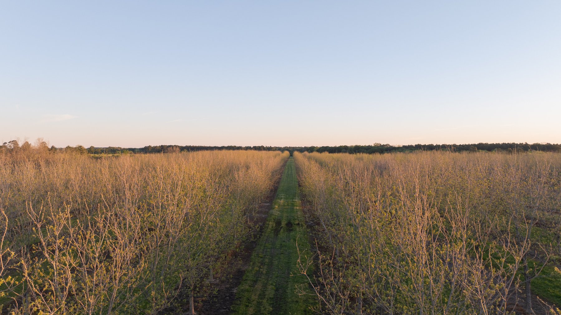 Image for 715+/- Acres - The Home Tract - Weybrenee Farms